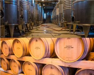 AU CŒUR DU VIGNOBLE DE SAINT HILAIRE